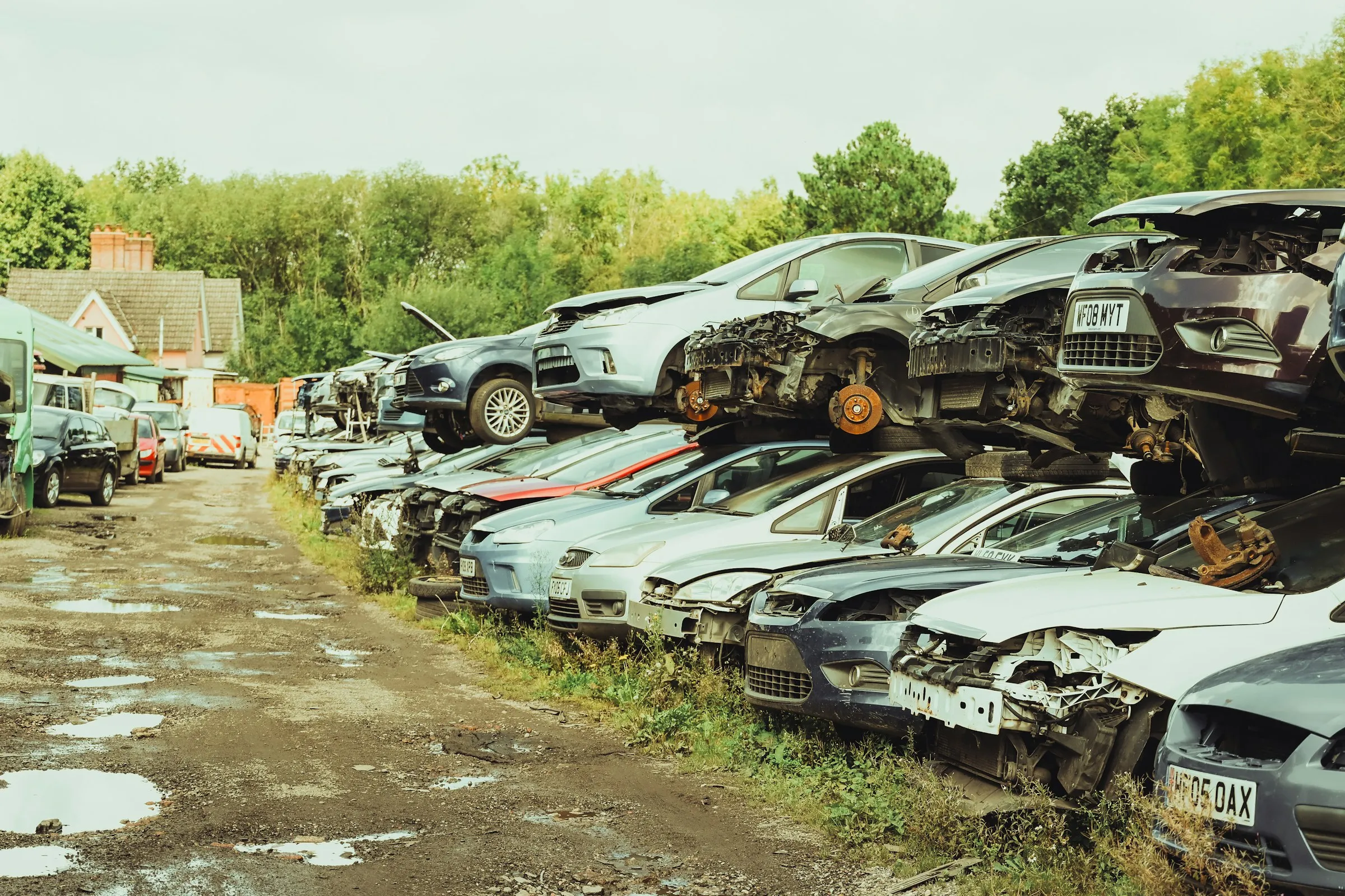 Rows of junk cars at a salvage yard